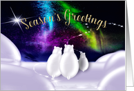 Christmas, Season’s Greetings, Polar Bears and Northern Lights card