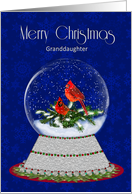 Christmas Red Cardinal Snow Globe, Granddaughter card