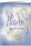 Sympathy, Loss of Dog, Heavenly Dogs, Heaven is Happier Place card