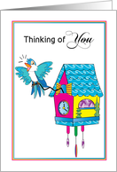 Thinking of You Colorful Cuckoo Clock and Bird card