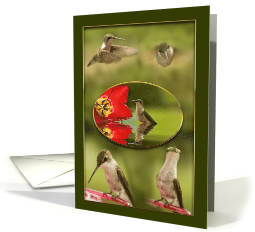 Thank You Hummingbird Collage with 5 Birds in Nature card (1683444)