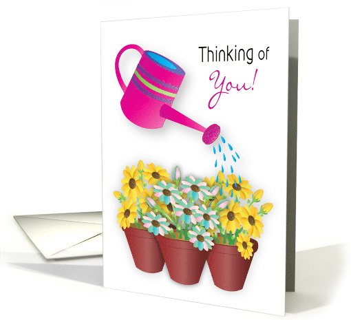 Thinking of You Watering Can and Pots of Daisy Like Flowers card