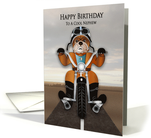 Birthday Cool Nephew Bulldog Riding Motorcycle on Highways card