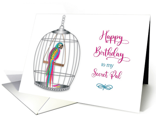 Birthday Secret Pal Pretty Colorful Parrot in Birdcage card (1738744)