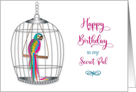 Birthday Secret Pal Pretty Colorful Parrot in Birdcage card