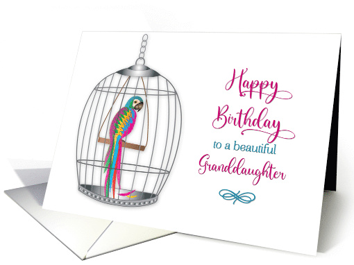 Birthday Granddaughter Pretty Colorful Parrot in Birdcage card