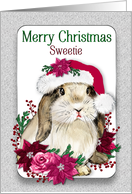Christmas Any Child Sweetie Bunny Santa Hat Poinsettias Berries card