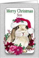 Christmas SON Bunny Santa Hat Poinsettias Berries card