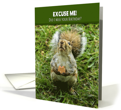 Belated Birthday Inquisitive Squirrel with Gift Asking If... (1749088)