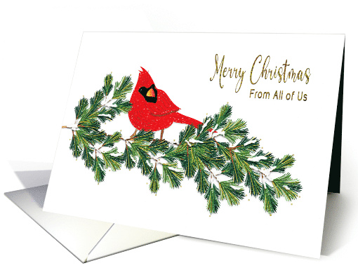 Christmas From All of Us Red Northern Cardinal on Pine Branches card