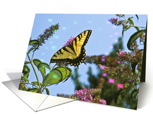 Monarch Yellow Butterfly Close-up, Blank, Trailing colorful star card