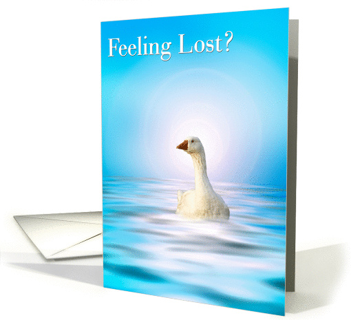 Feeling Lost card (337073)