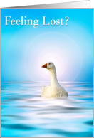 Feeling Lost card