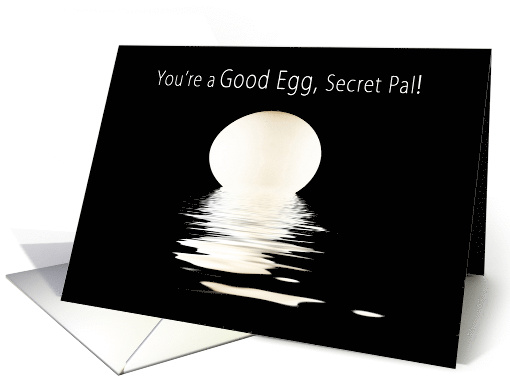 Encouragment, My Secret Pal, Single Egg and Reflections, Concept card