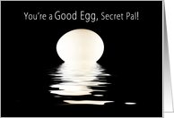 Encouragment, My Secret Pal, Single Egg and Reflections, Concept card