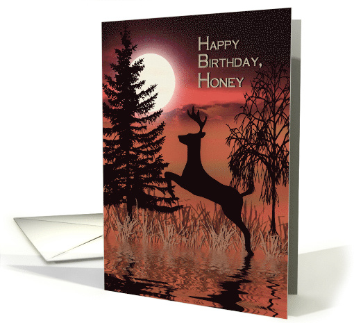 Birthday, Honey, Deer at Sunset with Reflections in Water card