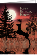 Birthday, Honey, Deer at Sunset with Reflections in Water card