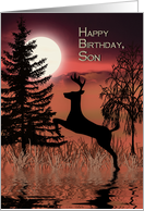 Birthday, Son, Deer...