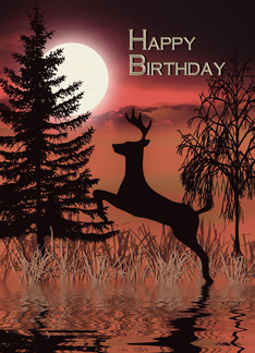 Happy Birthday, Deer...