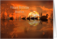 Birthday, Brother,...