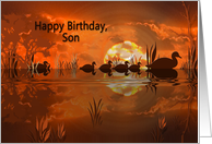 Birthday, Son, Ducks swimming at Sunset card