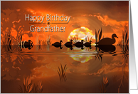 Birthday, Grandfather, Nature Scene of Ducks Swimming at Sunset card