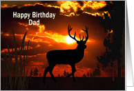 Birthday, Dad, Deer...