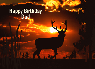 Birthday, Dad, Deer...