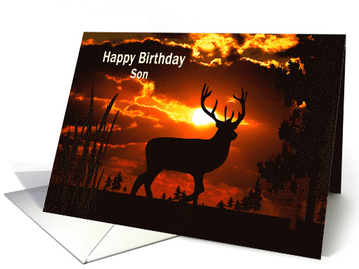 Birthday, Son, Silouhette of deer in sunset card (370298)