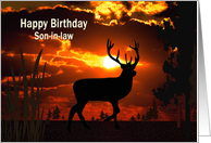 Birthday, Son In Law, Silhouette of Deer at Sunset card