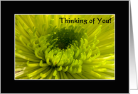 Thinking of You (Green Mum) card