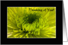 Thinking of You (Green Mum) card