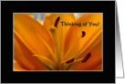 Thinking of You (Golden Lilly Center) card