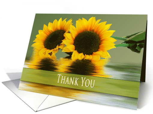 Thank You, Sunflowers and their Reflectons in Water, Blank card