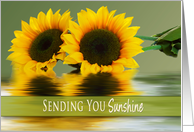 Get Well,Sending Sunshine, Sunflowers and their Reflections card