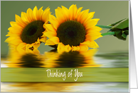 Thinking of You, Sunflowers and Reflections, Blank card