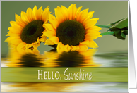 Hello Sunshine, Sunflowers and Reflections, Blank card