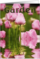 Tulip Garden card