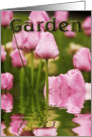 Tulip Garden card