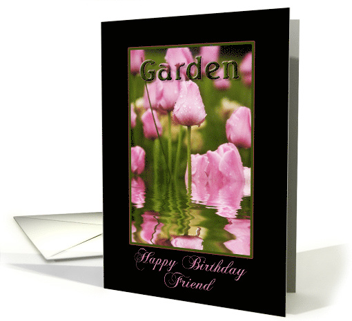 Birthday, Friend, Garden of Pink Tulips wet from the Rain card