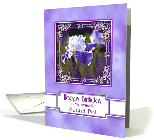 Birthday,Secret Pal, Beautiful and Elegant Purple Iris in... (425825)