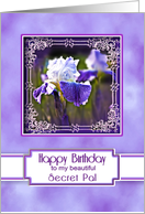 Birthday,Secret Pal, Beautiful and Elegant Purple Iris in Fancy Frame card