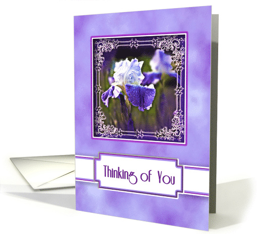 Thinking of You, Elegant Purple and White Iris in Fancy Frame card