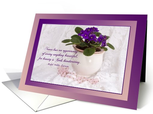 African Violet Beauty card (430526)