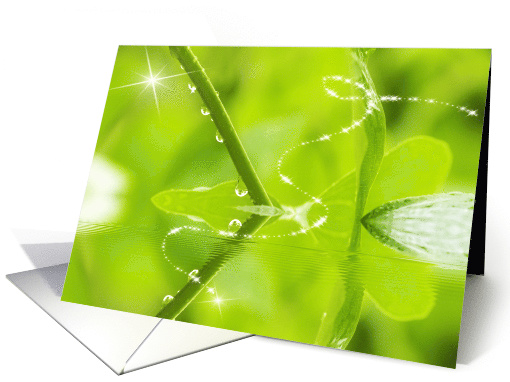 Raindrops clinging to leaf stem. Magical star gaze. Blank inside card
