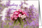 Dreamy Thinking of You card