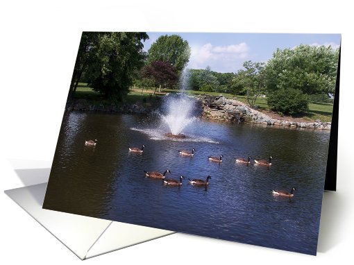 Tranquil card (452710)