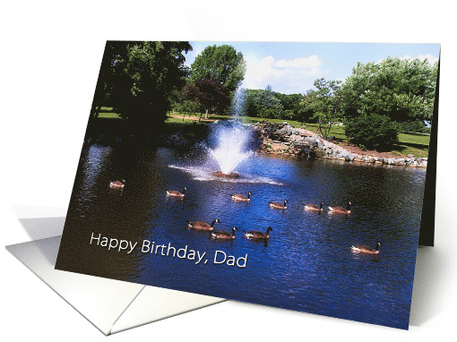 Birthday, Dad, Tranquility with Geese Swimming in Pond... (452711)