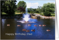 Birthday, Dad, Tranquility with Geese Swimming in Pond with Foundatin card
