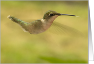 Hummingbird Series#12 card